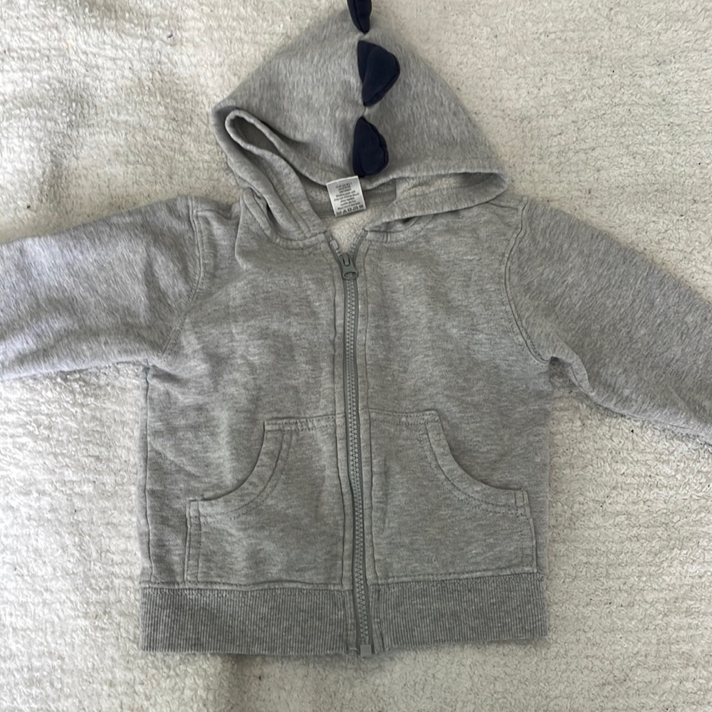 Dinosaur hoodie